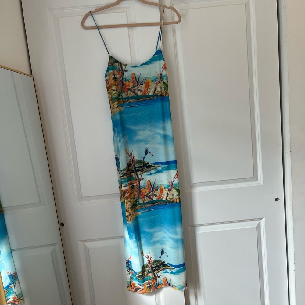 Zara Women’s Printed Tulle Maxi Dress - Size Small